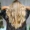 Cabeleireiro em Blumenau no Água Verde, Blumenau: Mechas, Corte e Hidratação
